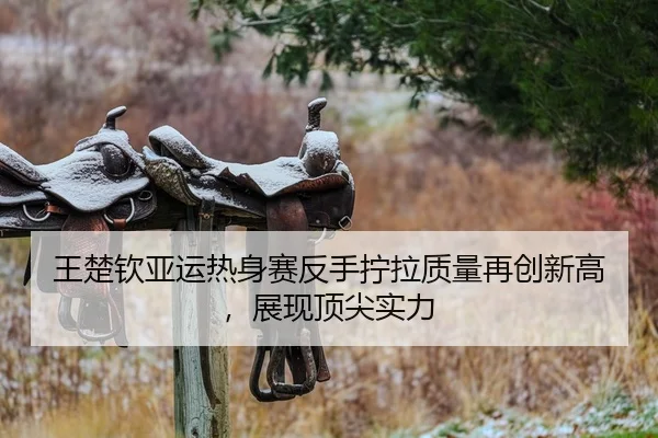 王楚钦亚运热身赛反手拧拉质量再创新高，展现顶尖实力