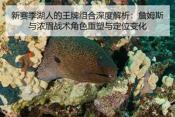 新赛季湖人的王牌组合深度解析：詹姆斯与浓眉战术角色重塑与定位变化